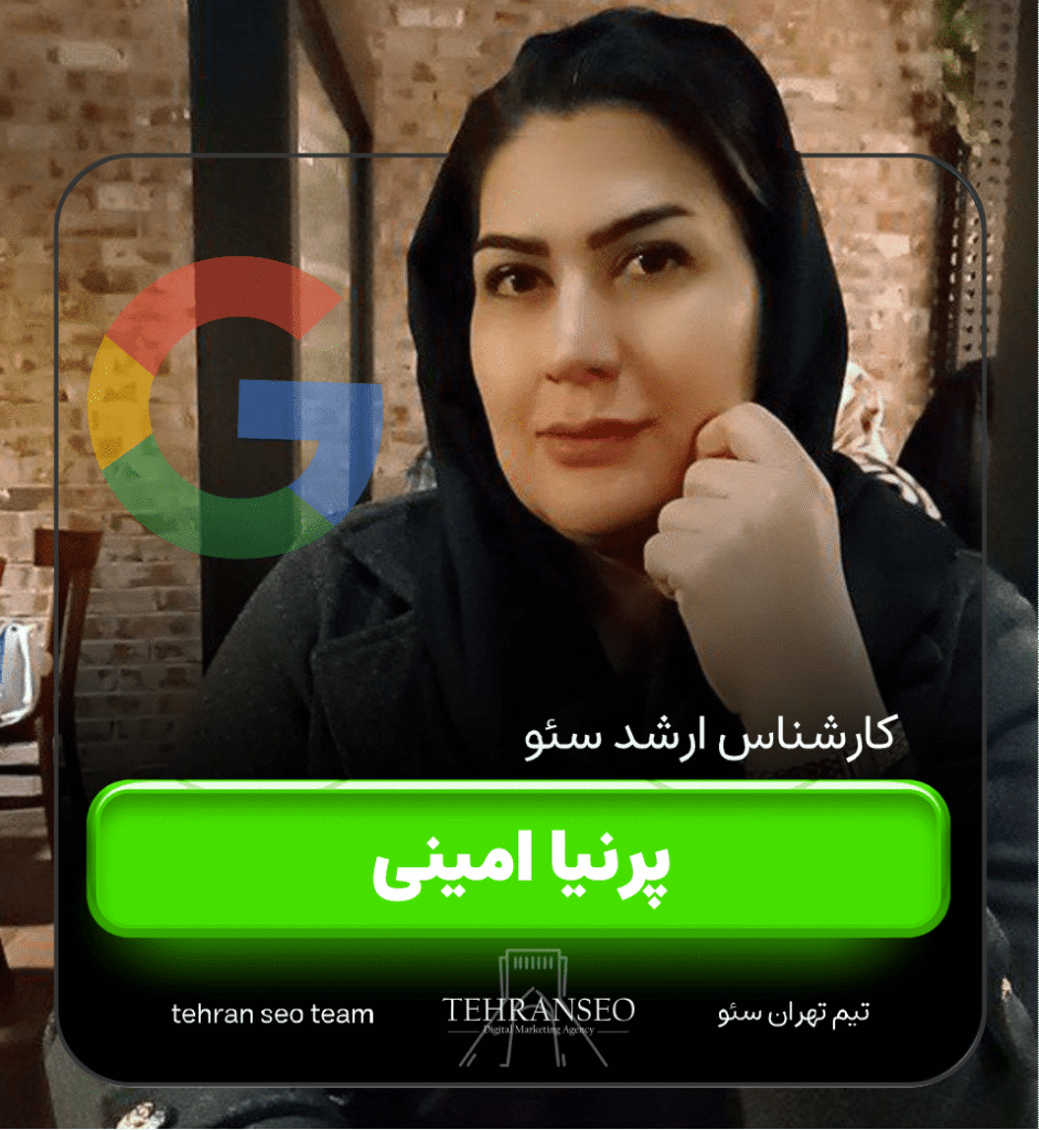 پرنیا امینی کارشناس سئو -min